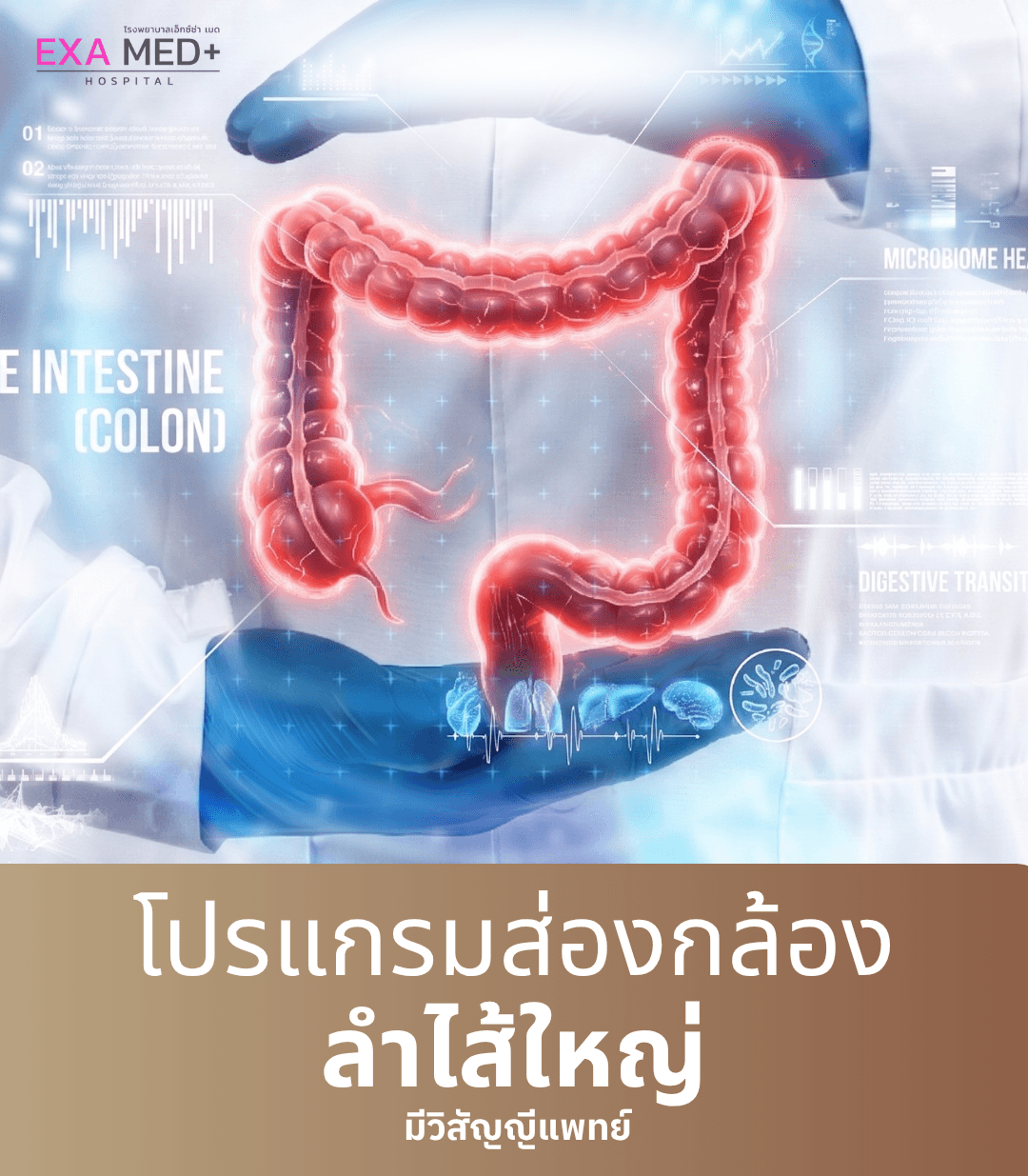 ส่องกล้องลำไส้ใหญ่