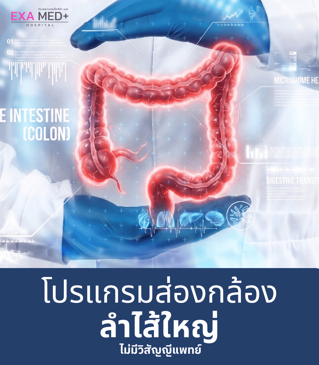 ส่องกล้องลำไส้ใหญ่