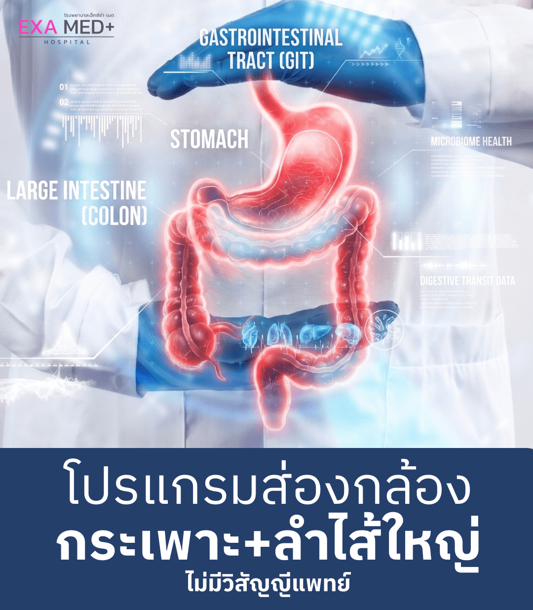 ส่องกล้องกระเพาะอาหาร + ลำไส้ใหญ่