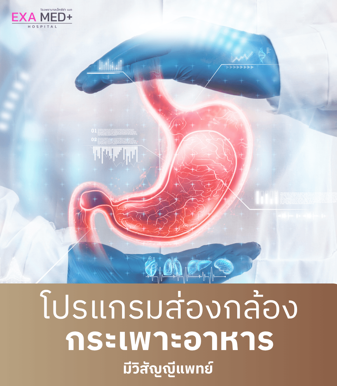 ส่องกล้องกระเพาะอาหาร