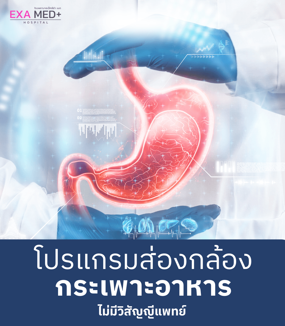 ส่องกล้องกระเพาะ